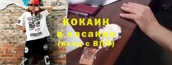 тгк Абаза