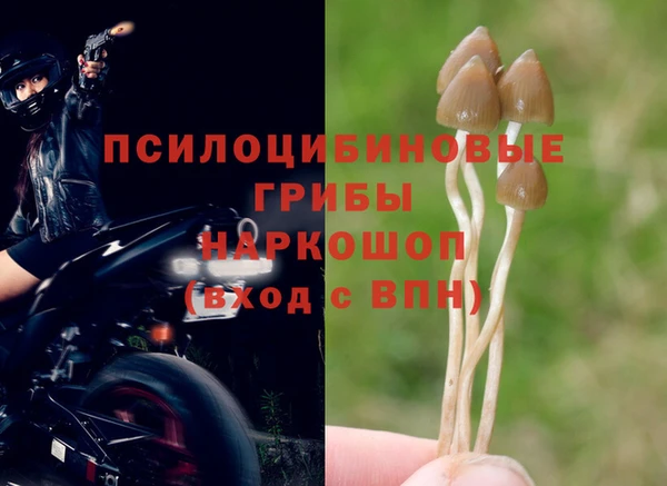 марихуана Абинск