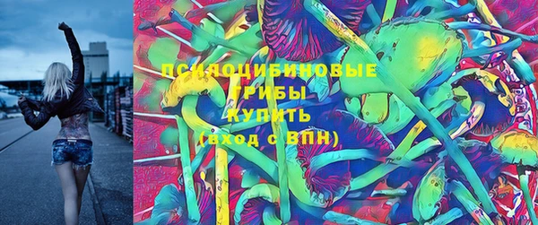 стафф Абдулино